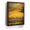 Featured image 10 for Autumn River