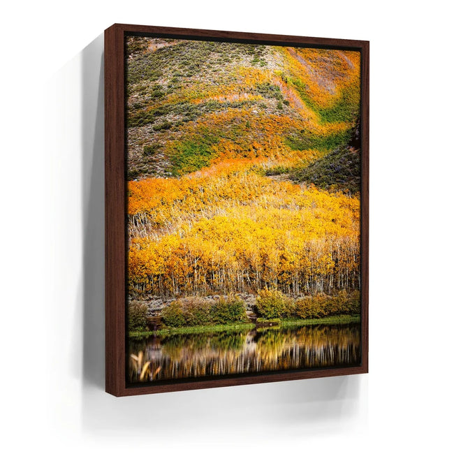 Featured image 10 for Autumn River