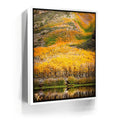 Featured image 6 for Autumn River