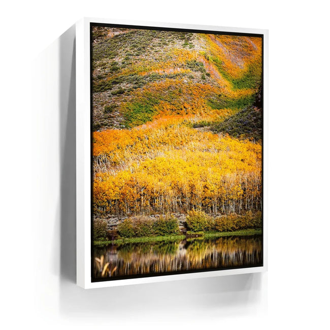 Featured image 6 for Autumn River