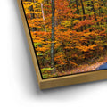 Thumbnail image 12 for Autumn Trail