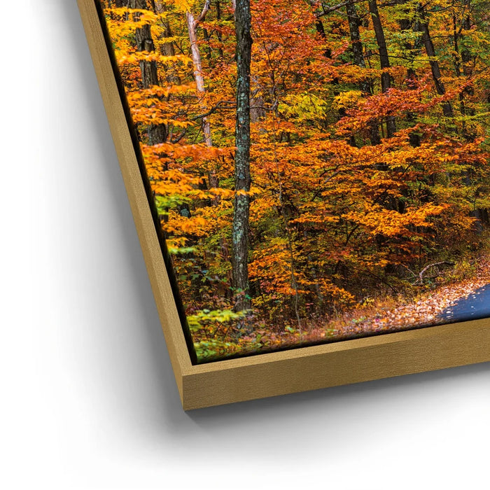 Featured image 12 for Autumn Trail