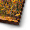 Thumbnail image 14 for Autumn Trail