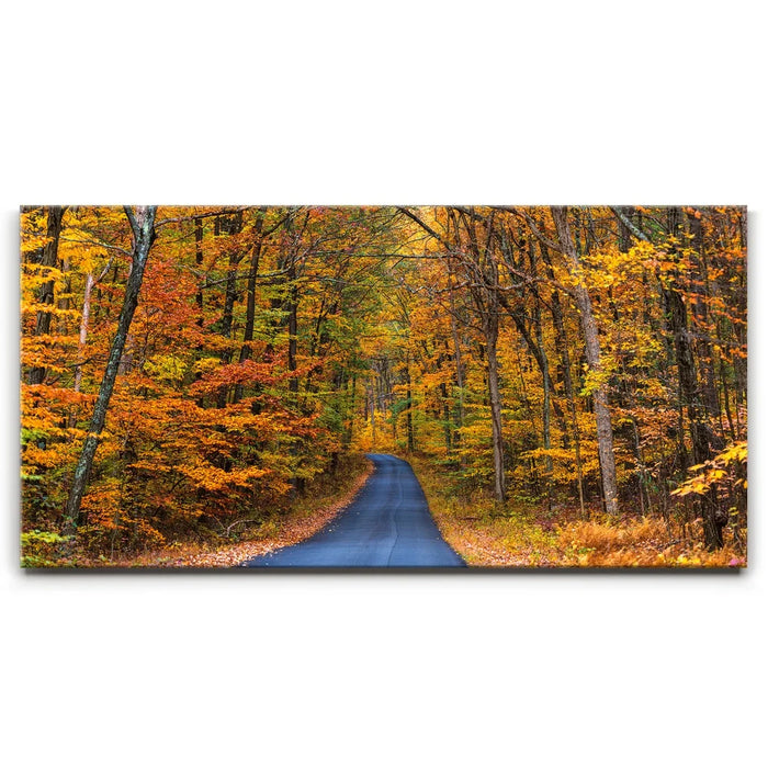 Featured image 1 for Autumn Trail