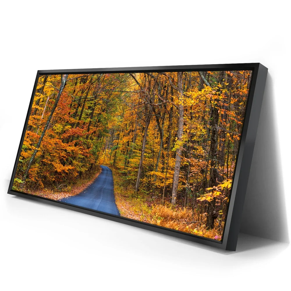 Featured image 2 for Autumn Trail