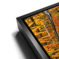 Thumbnail image 11 for Autumn Trail