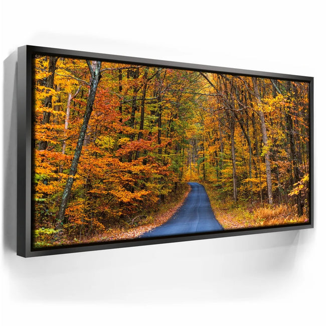 Featured image 5 for Autumn Trail