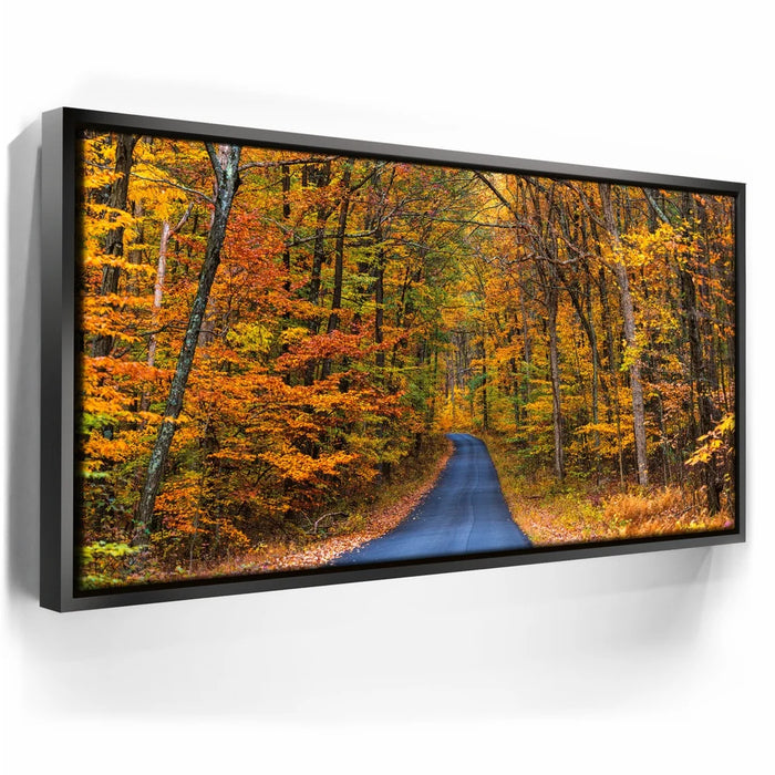 Featured image 5 for Autumn Trail