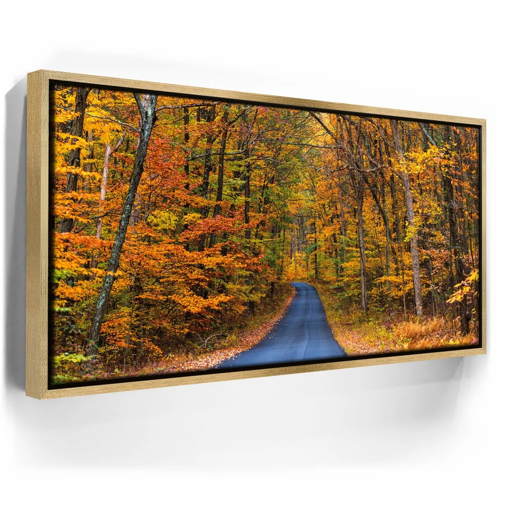 Featured image 7 for Autumn Trail