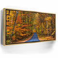 Featured image 7 for Autumn Trail