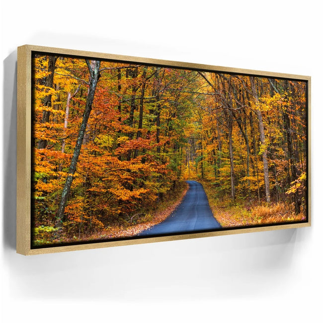 Featured image 7 for Autumn Trail