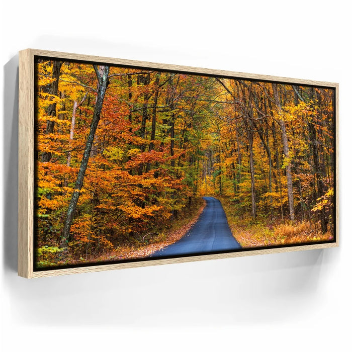 Featured image 9 for Autumn Trail