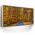 Featured image 9 for Autumn Trail