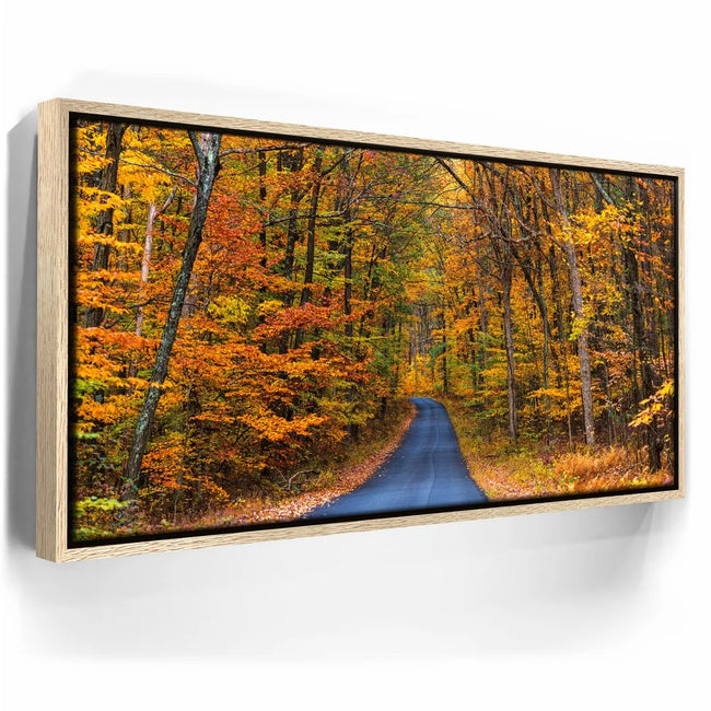 Featured image 9 for Autumn Trail