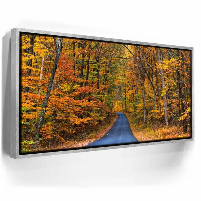 Featured image 8 for Autumn Trail