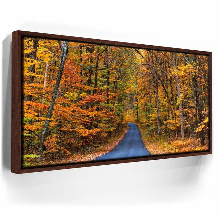 Featured image 10 for Autumn Trail