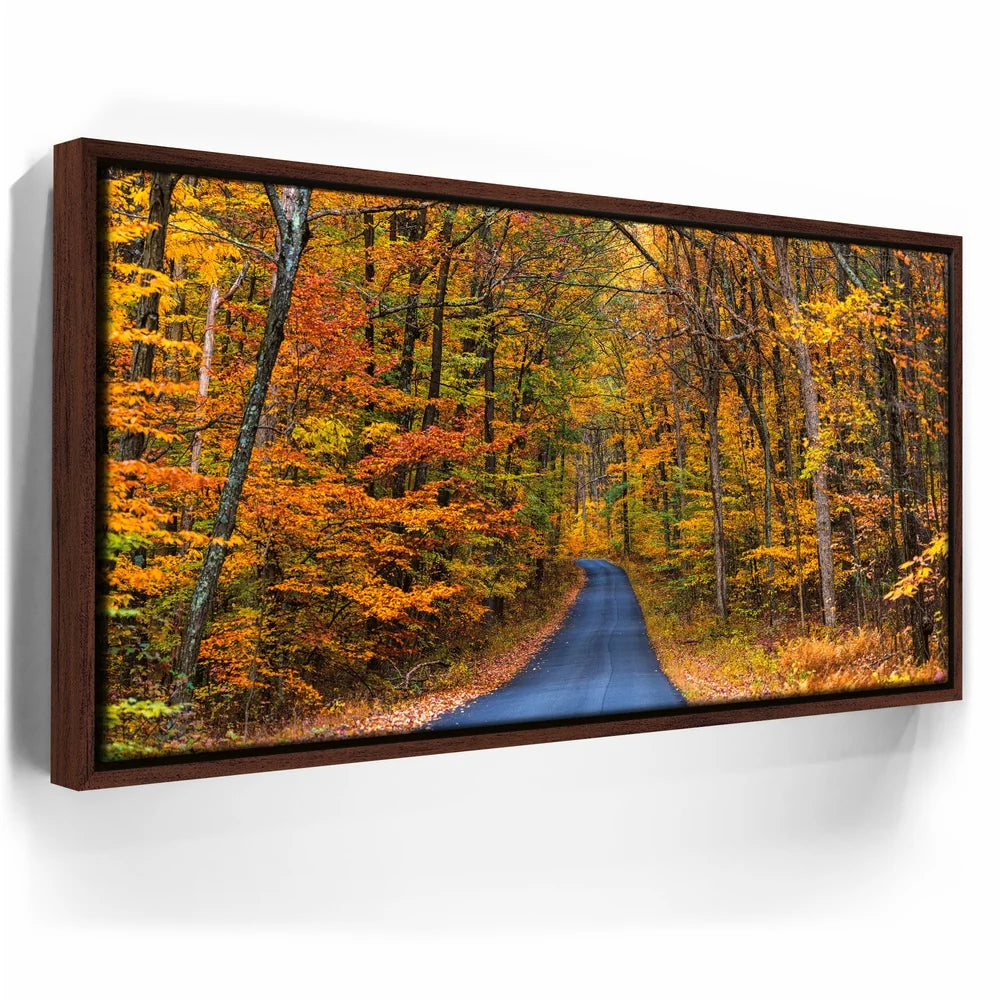 Featured image 10 for Autumn Trail