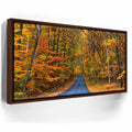 Featured image 10 for Autumn Trail