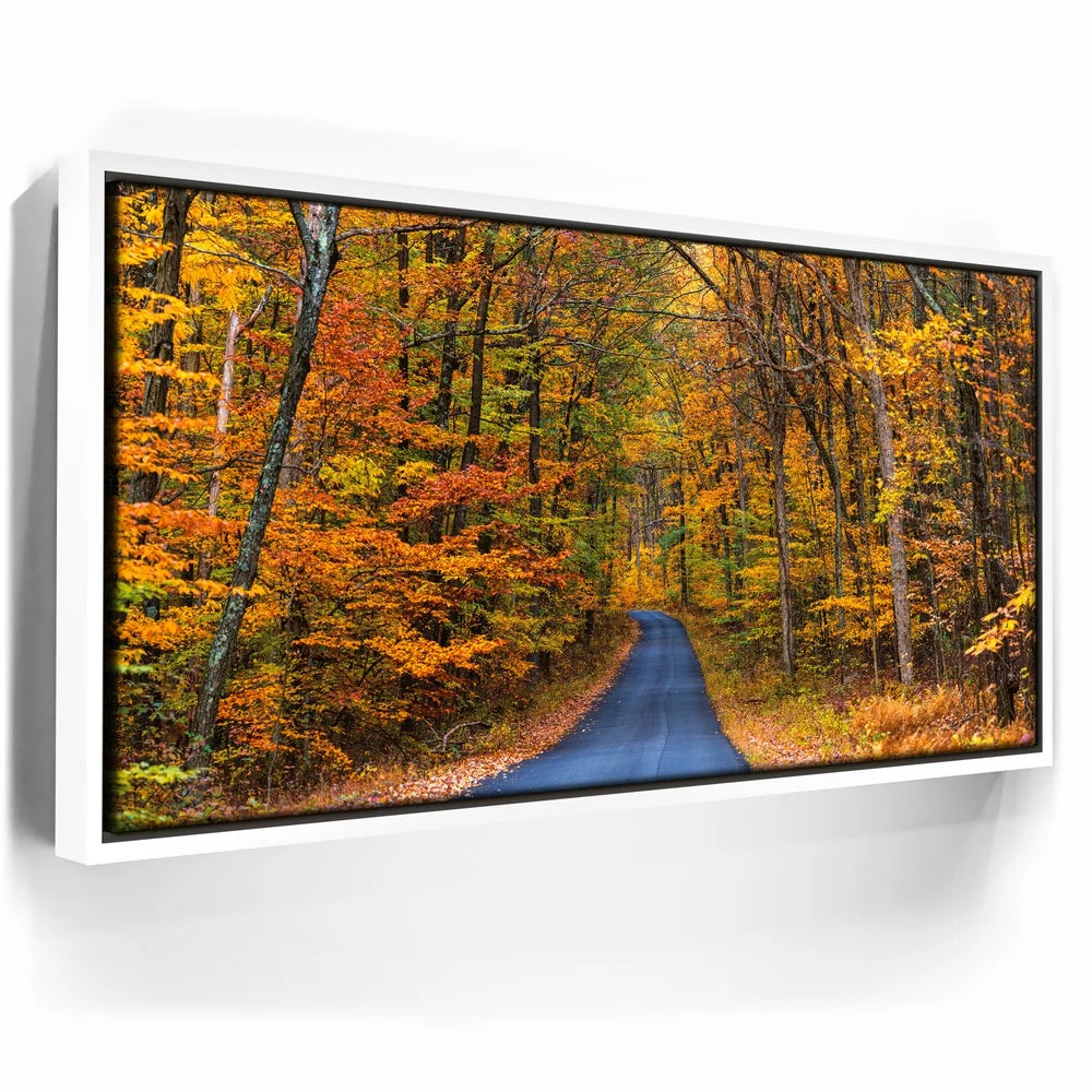 Featured image 6 for Autumn Trail