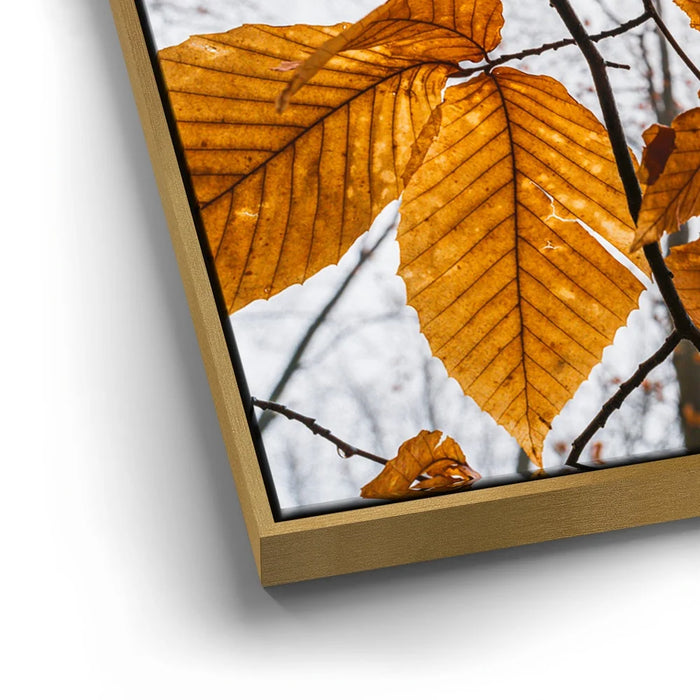 Featured image 12 for Autumn Veins