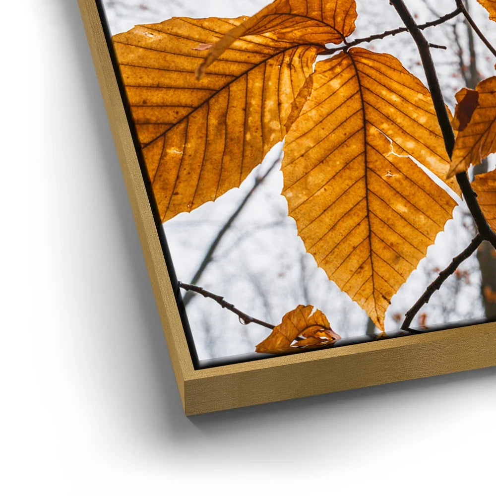 Featured image 12 for Autumn Veins