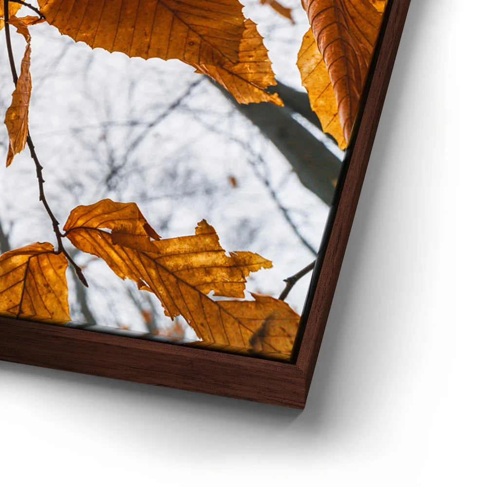 Featured image 14 for Autumn Veins