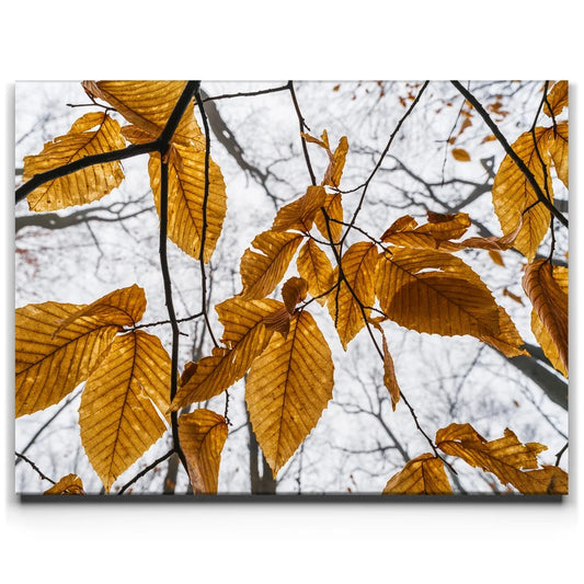 Autumn Veins