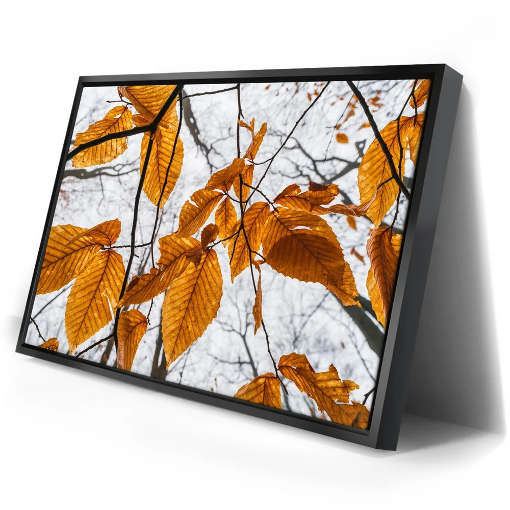 Featured image 2 for Autumn Veins