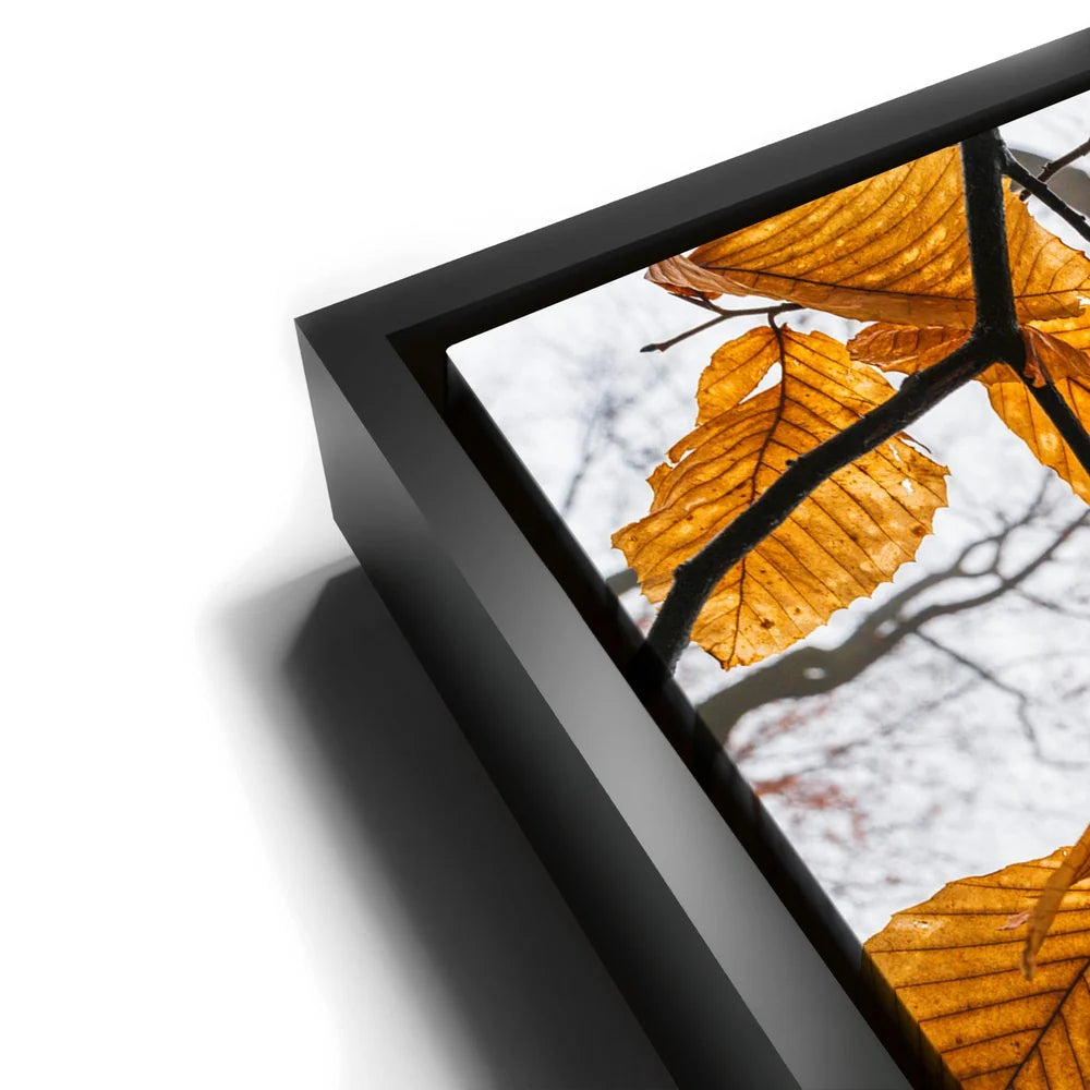 Featured image 11 for Autumn Veins