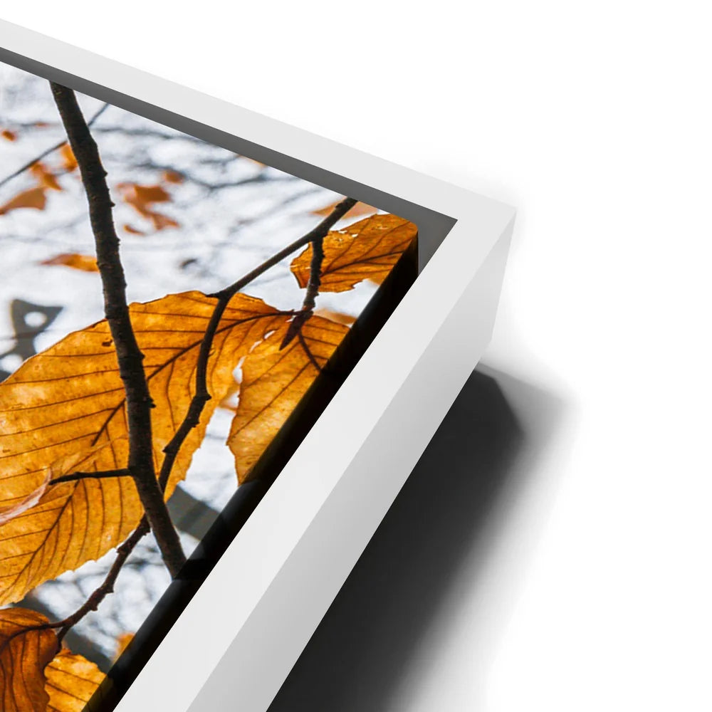 Featured image 13 for Autumn Veins