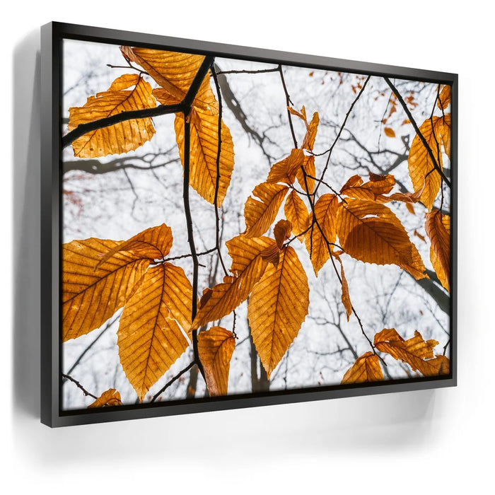 Featured image 5 for Autumn Veins