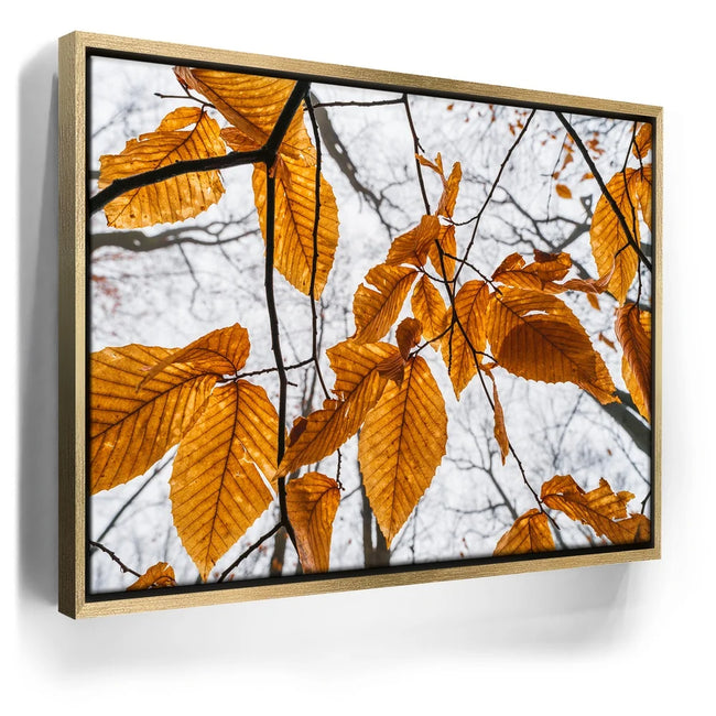 Featured image 7 for Autumn Veins
