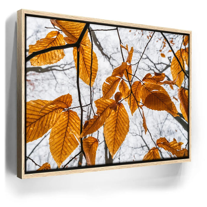 Featured image 9 for Autumn Veins