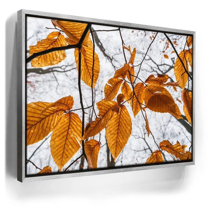 Featured image 8 for Autumn Veins