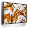 Featured image 8 for Autumn Veins
