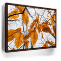 Featured image 10 for Autumn Veins