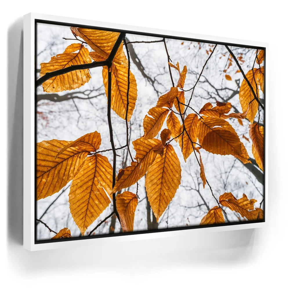 Featured image 6 for Autumn Veins