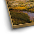 Thumbnail image 13 for Autumn Splendor