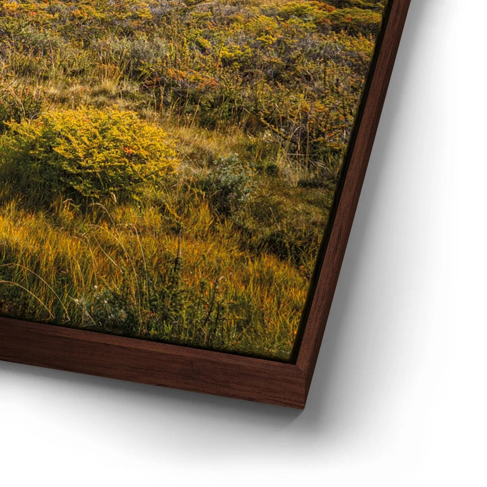 Featured image 15 for Autumn Splendor