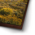 Thumbnail image 15 for Autumn Splendor