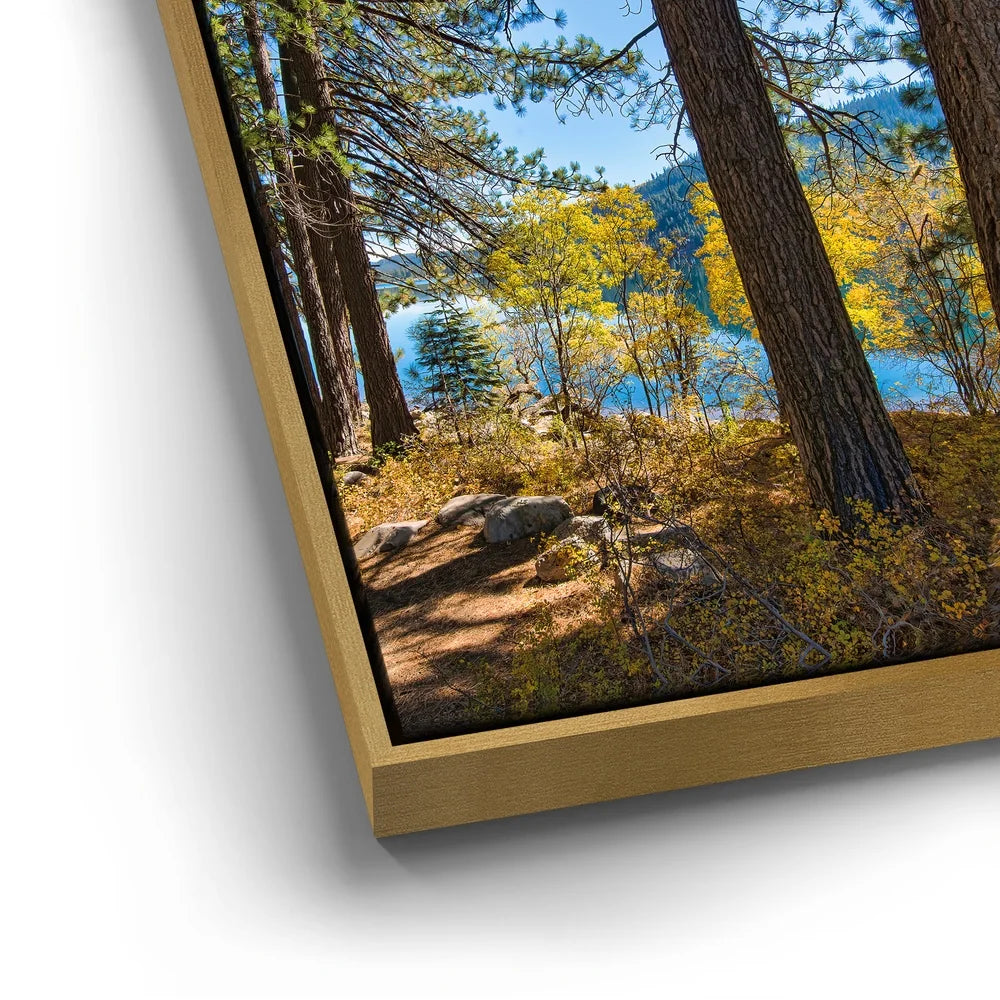Featured image 13 for Autumn at Donner Lake