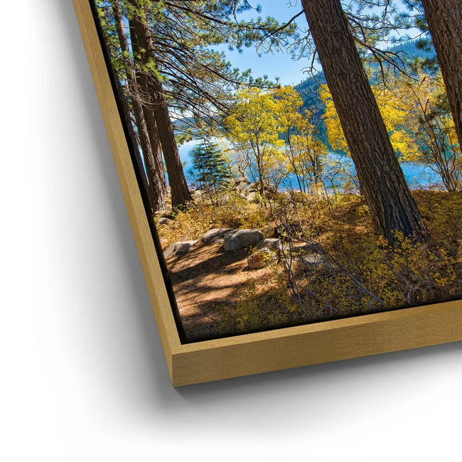 Featured image 13 for Autumn at Donner Lake