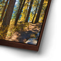 Thumbnail image 15 for Autumn at Donner Lake