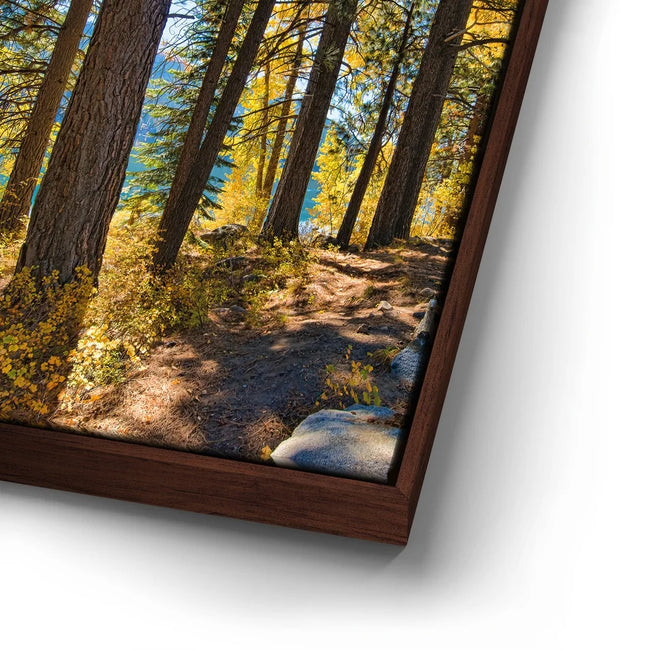 Featured image 15 for Autumn at Donner Lake
