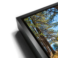 Thumbnail image 12 for Autumn at Donner Lake