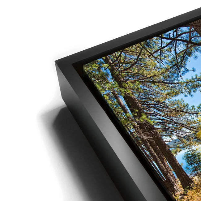 Featured image 12 for Autumn at Donner Lake
