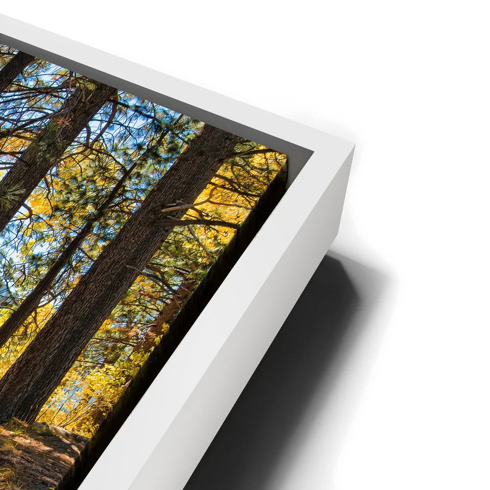 Featured image 14 for Autumn at Donner Lake