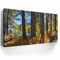 Thumbnail image 3 for Autumn at Donner Lake