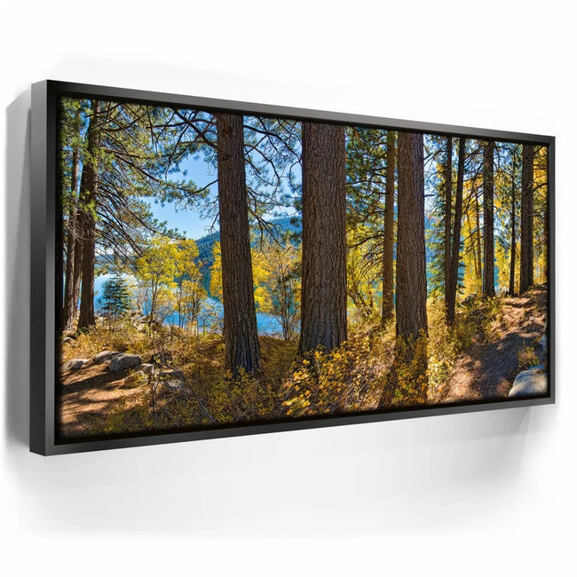 Featured image 6 for Autumn at Donner Lake