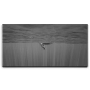 Baby Belly B&W - Tahiti